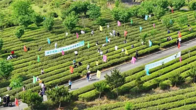 未命名-1.jpg