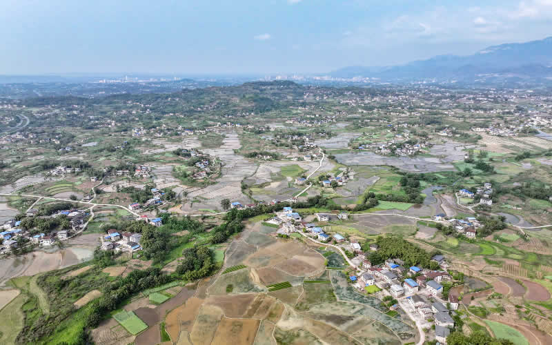 未命名-1.jpg