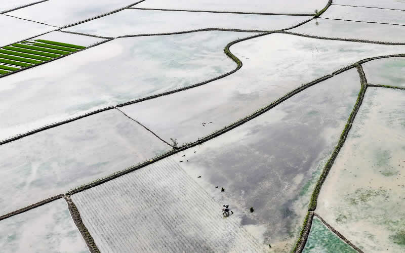 未命名-1.jpg