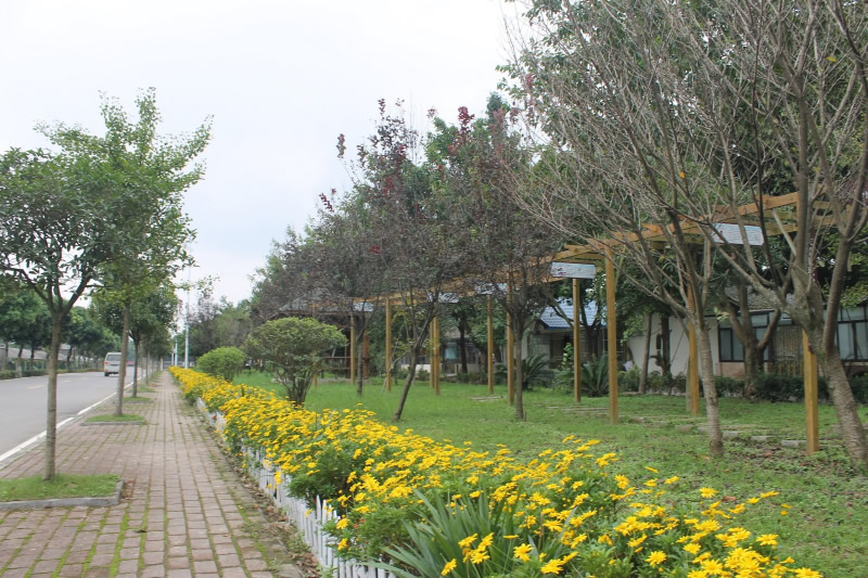 未命名-1.jpg