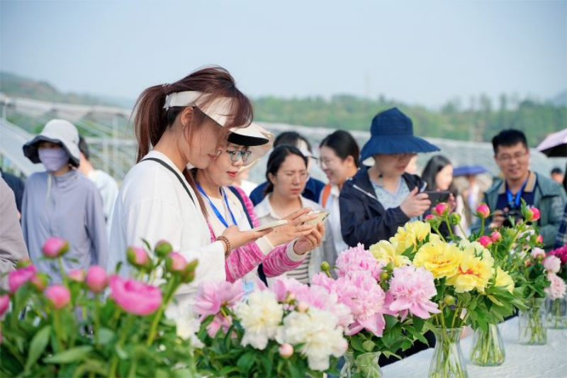 未命名-1.jpg