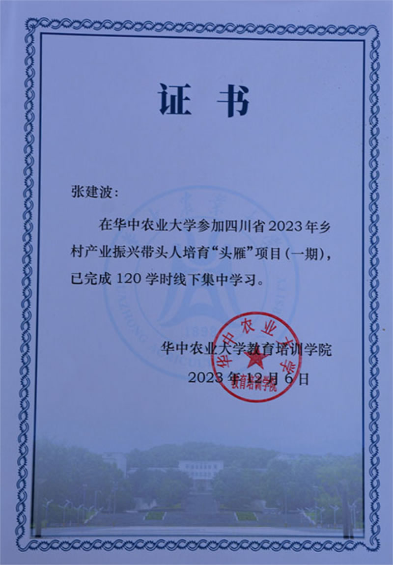 未命名-1.jpg