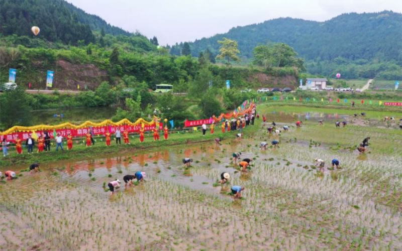 未命名-1.jpg