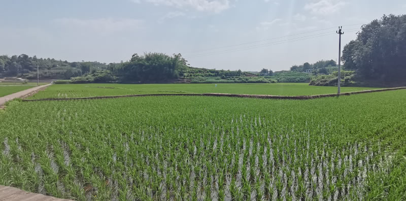 未命名-1.jpg