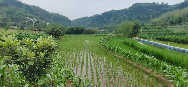 未命名-1.jpg
