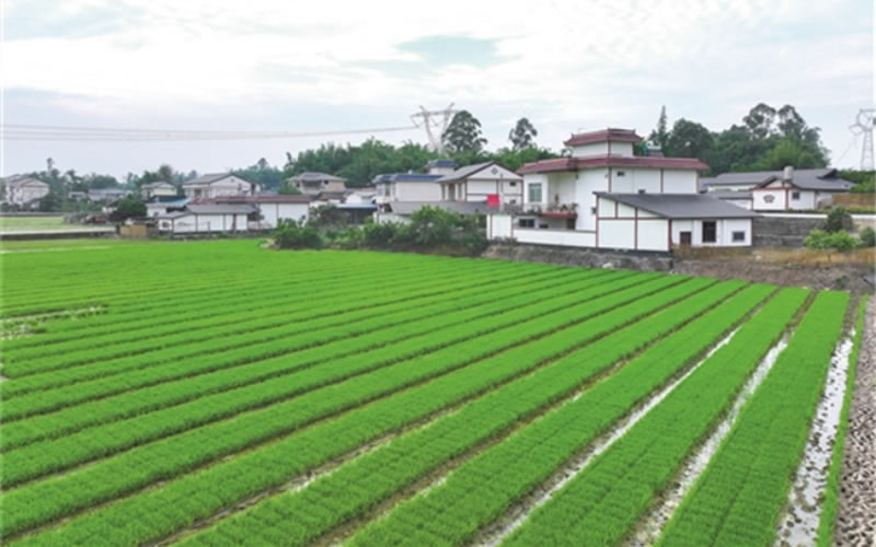 未命名-1.jpg