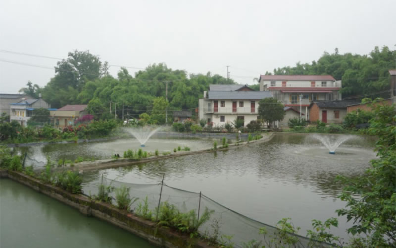 未命名-1.jpg