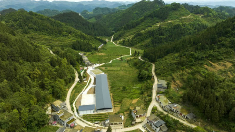 未命名-1.jpg