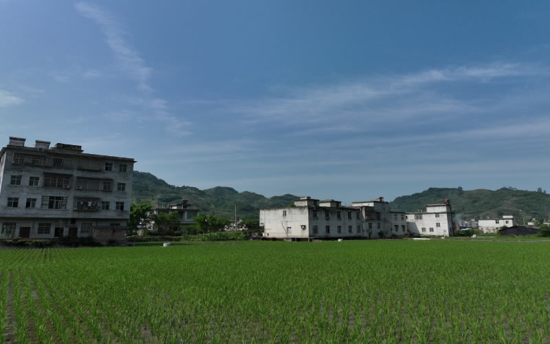 未命名-1.jpg