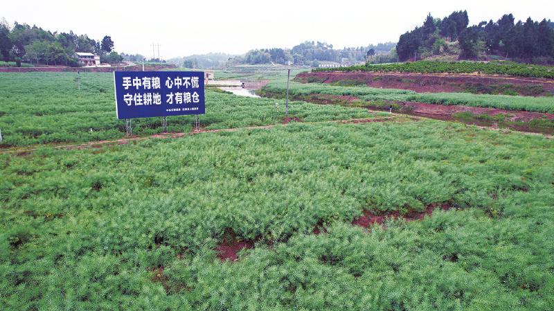 8b3d1cd41cfa0c7cdaf025bae927c761_f123658decb1e2d5b279b97ae34e071e.jpg