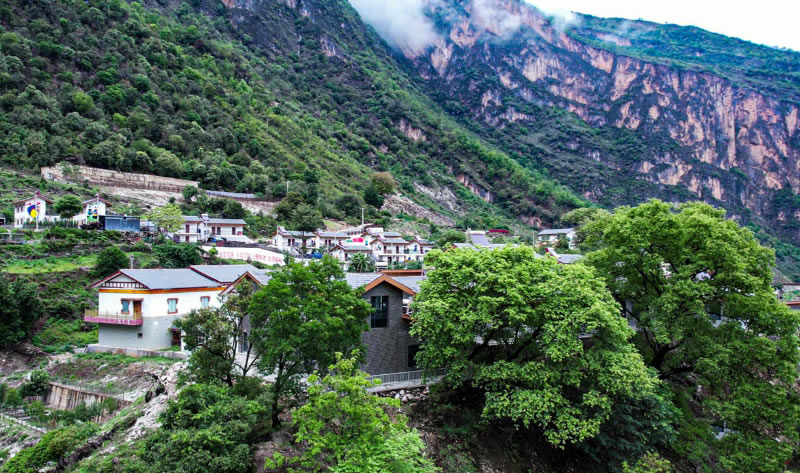 未命名-1.jpg