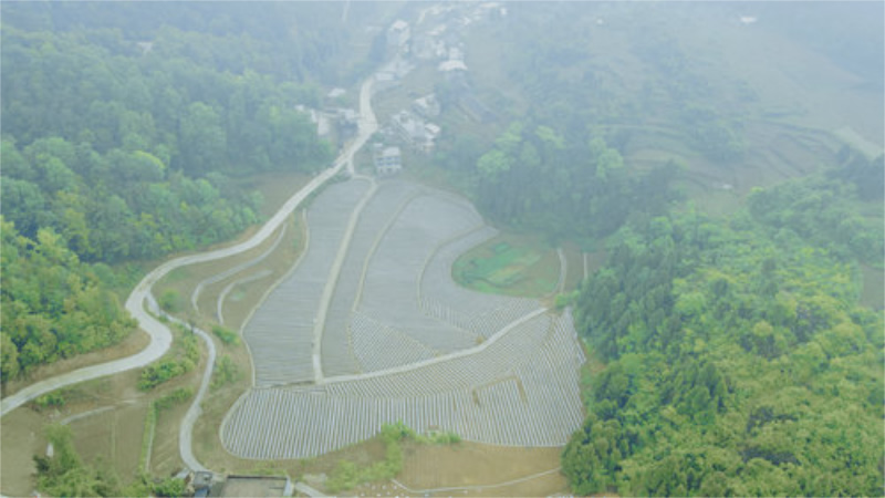 未命名-1.jpg