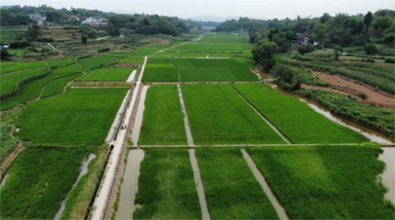 未命名-1.jpg