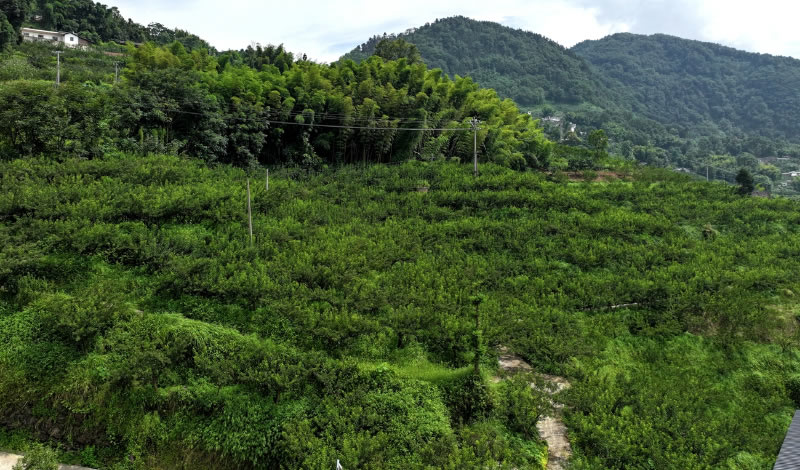 未命名-1.jpg