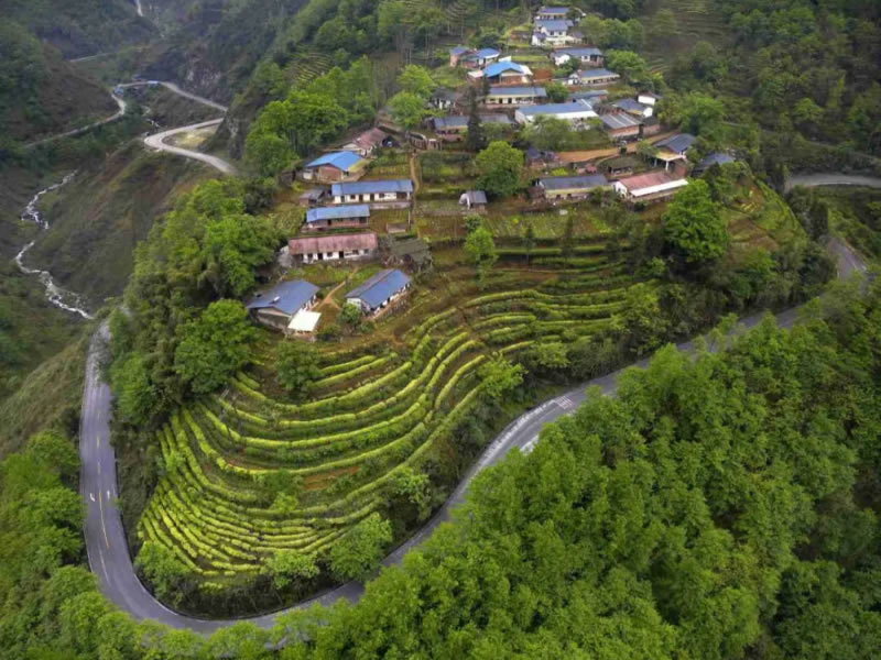 未命名-1.jpg
