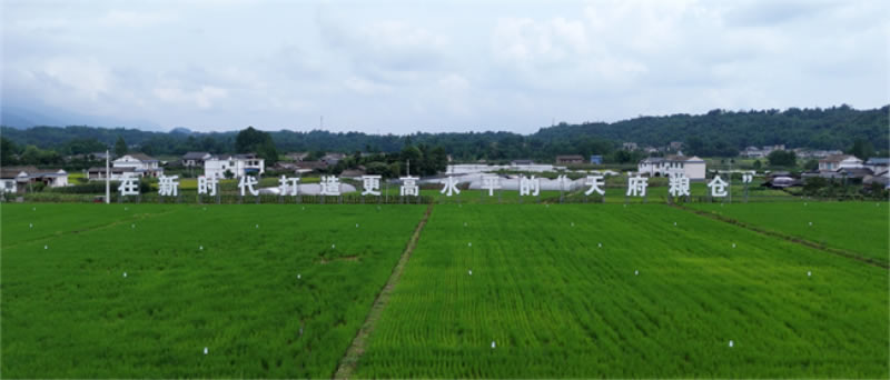 未命名-1.jpg