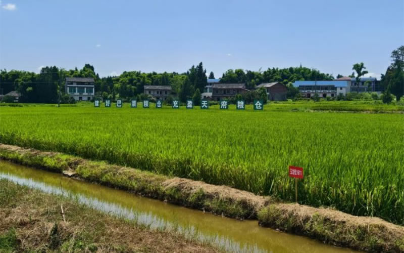 未命名-1.jpg