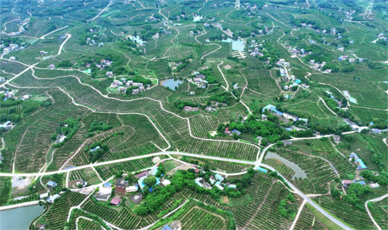 未命名-1.jpg