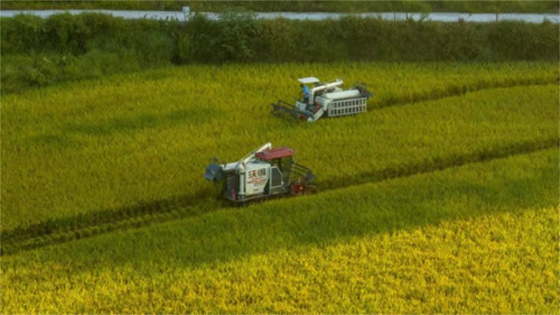 未命名-1.jpg