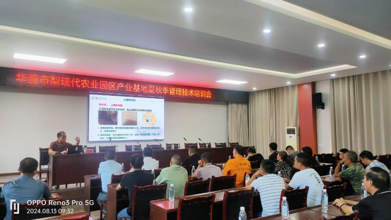 未命名-1.jpg