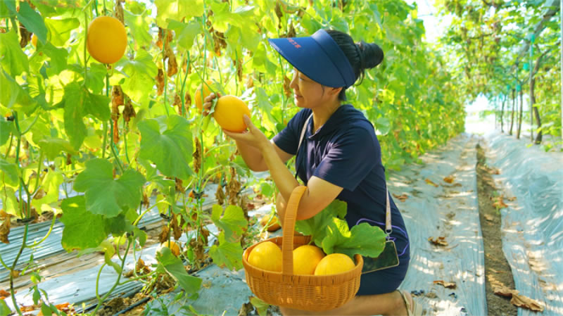 未命名-1.jpg