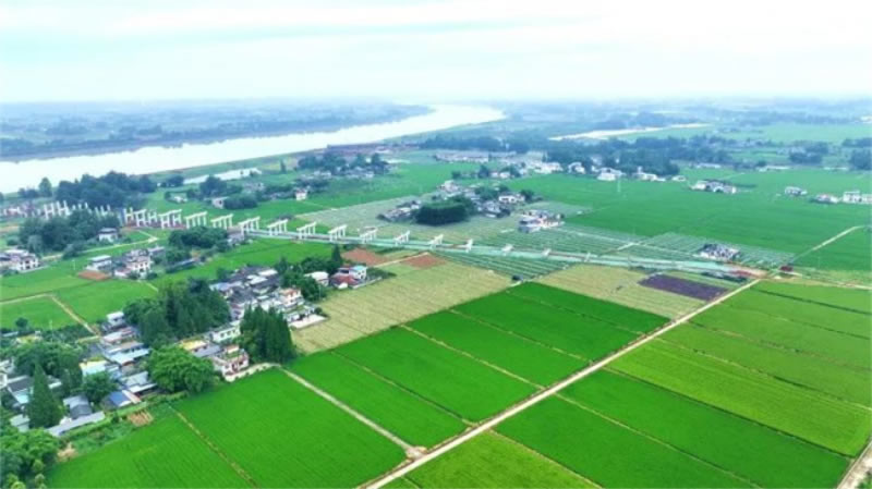 未命名-1.jpg