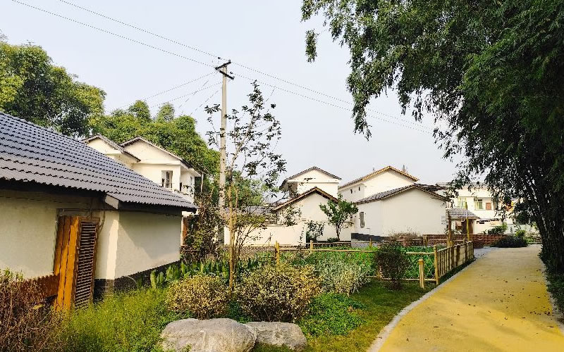 未命名-1.jpg
