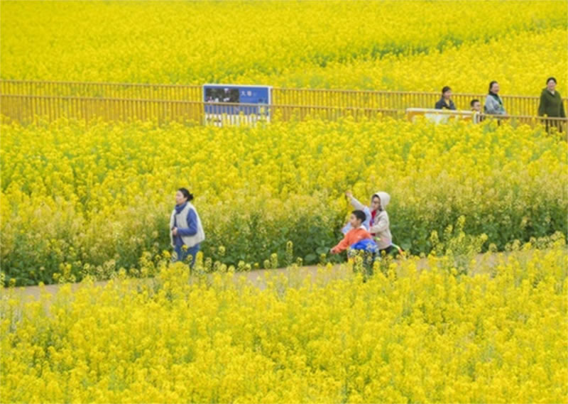 未命名-1.jpg