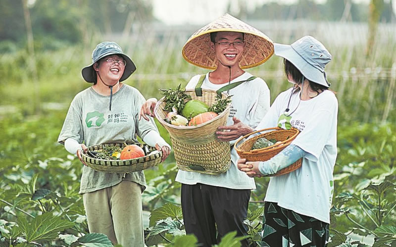未命名-1.jpg