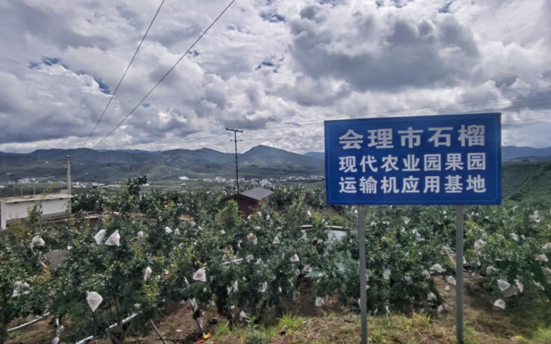 未命名-1.jpg