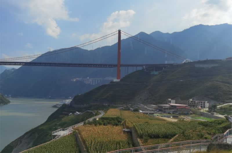 未命名-1.jpg