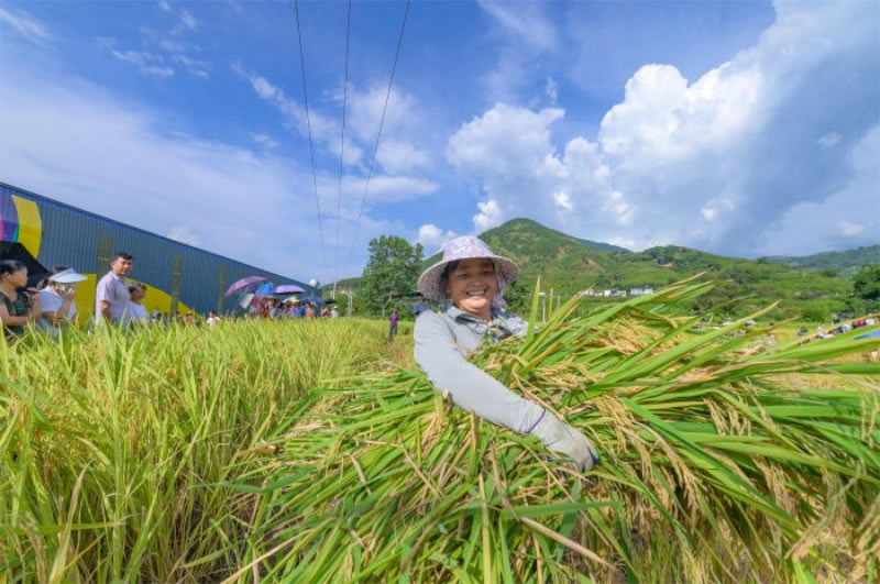 未命名-1.jpg