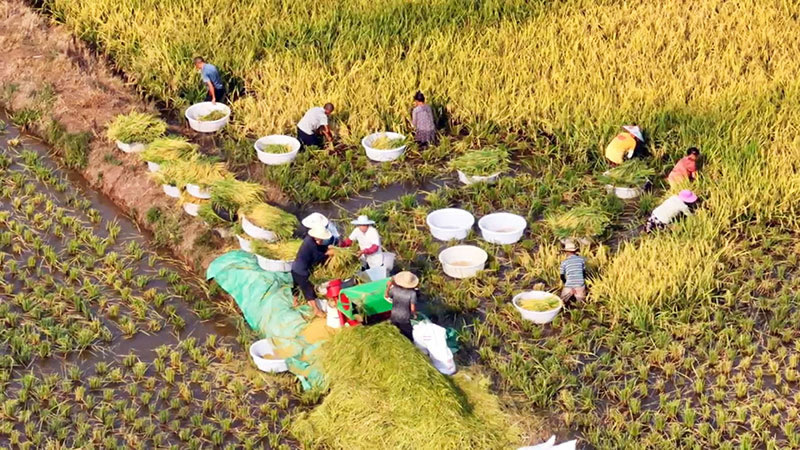 未命名-1.jpg
