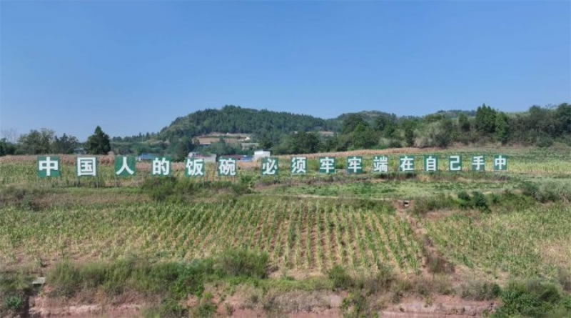 未命名-1.jpg