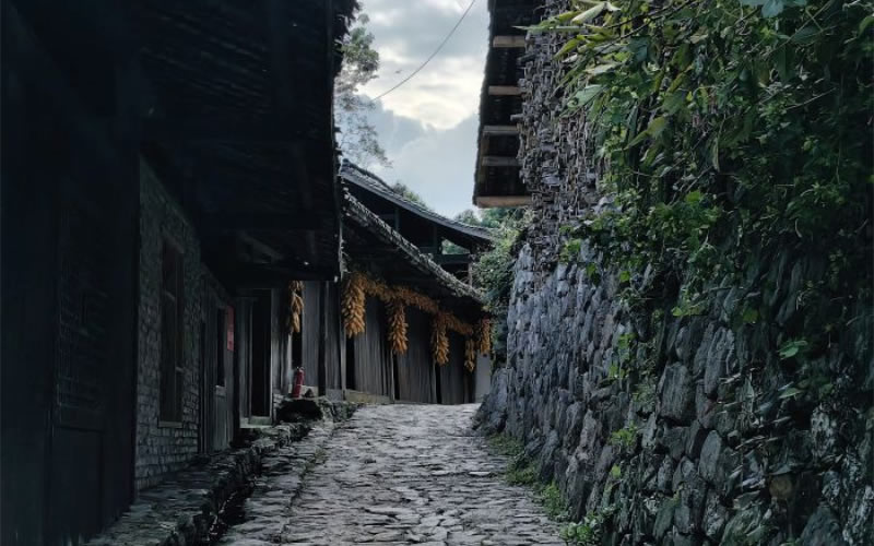 未命名-1.jpg