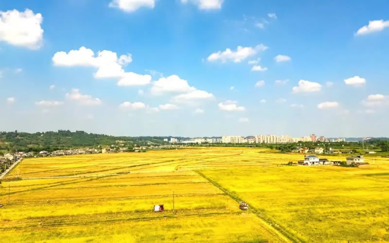 未命名-1.jpg