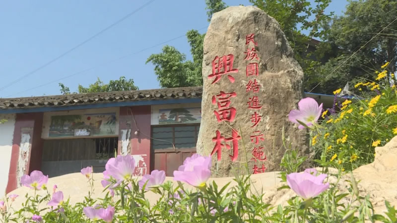 未命名-1.jpg