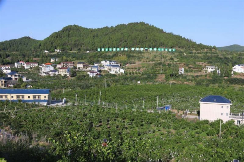 未命名-1.jpg