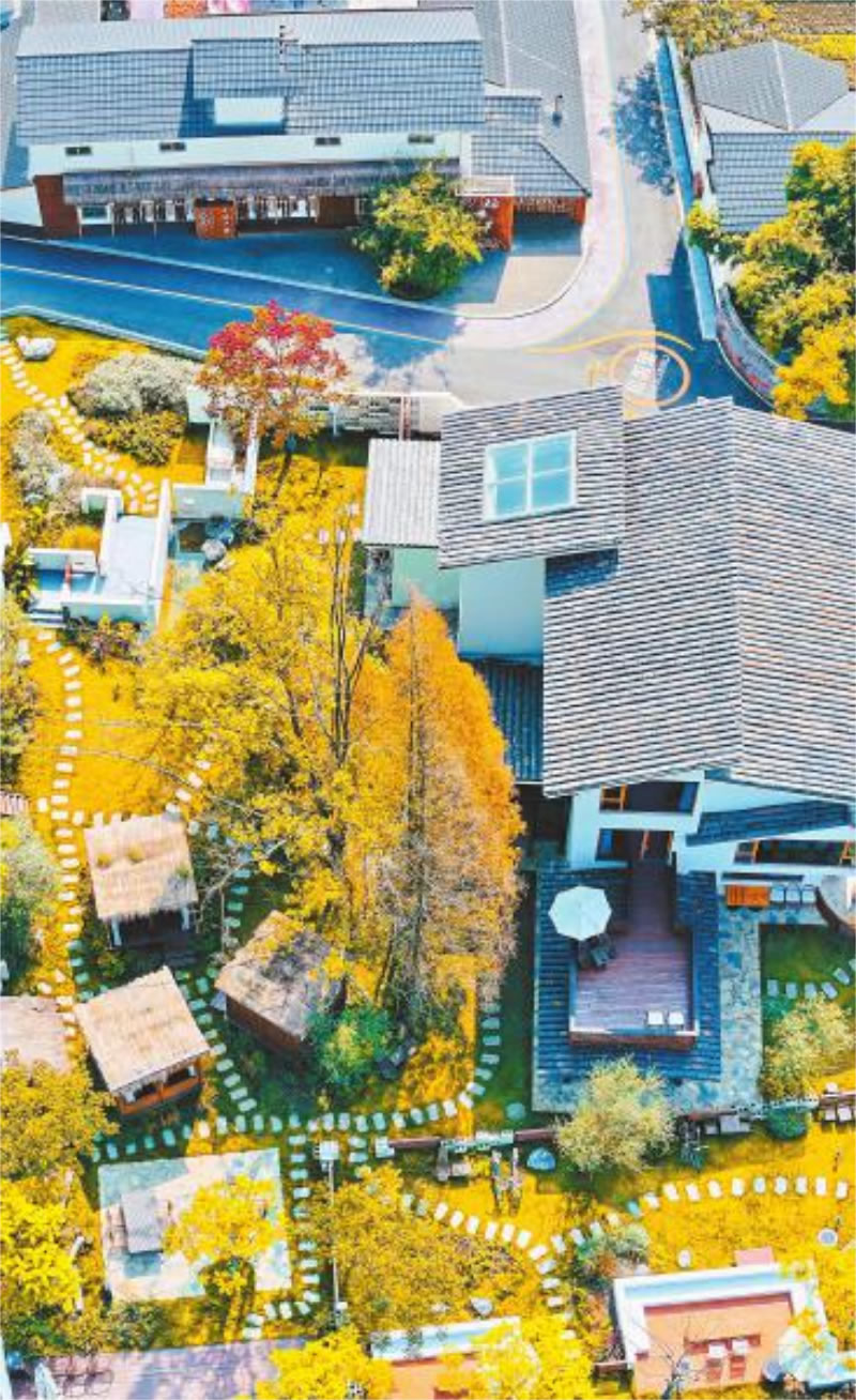 未命名-1.jpg