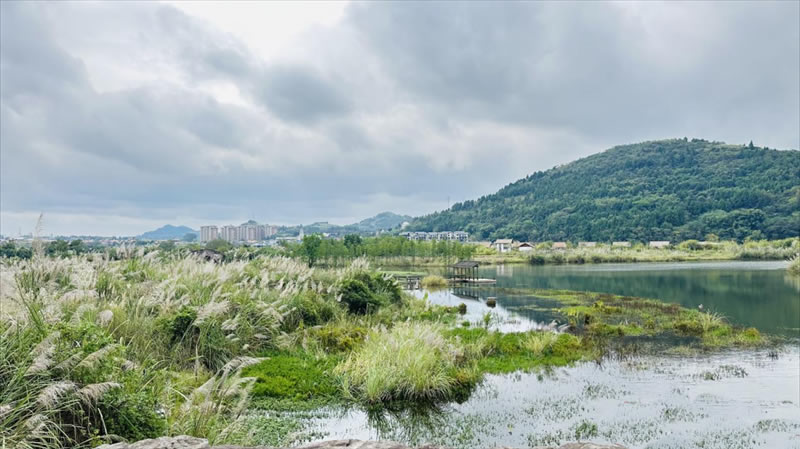 未命名-1.jpg