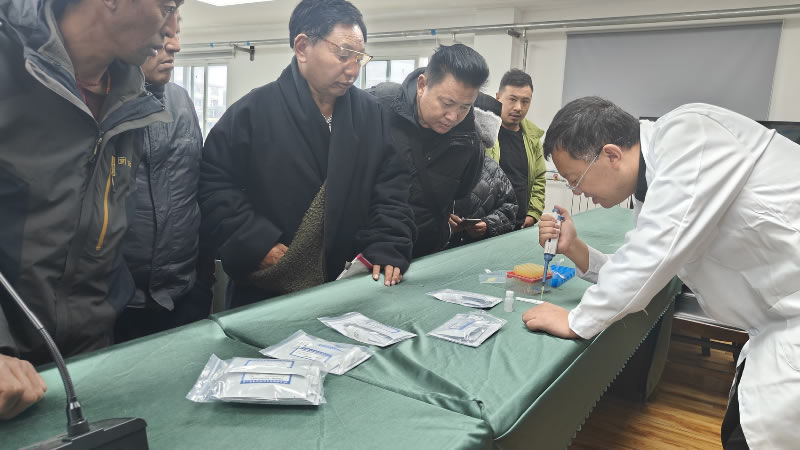 未命名-1.jpg