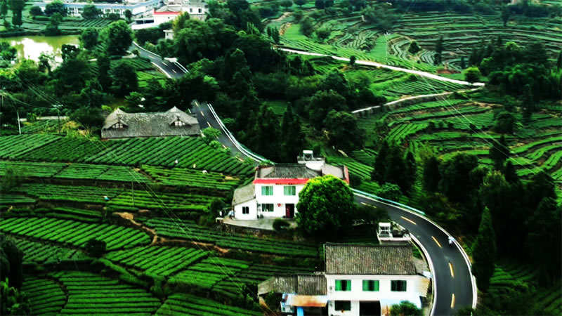 未命名-1.jpg