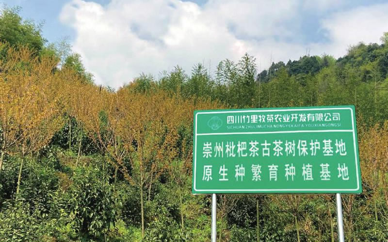 未命名-1.jpg