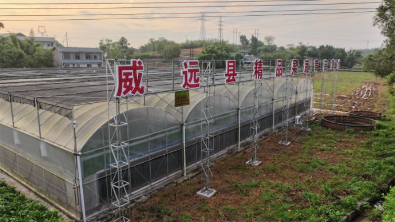 未命名-1.jpg