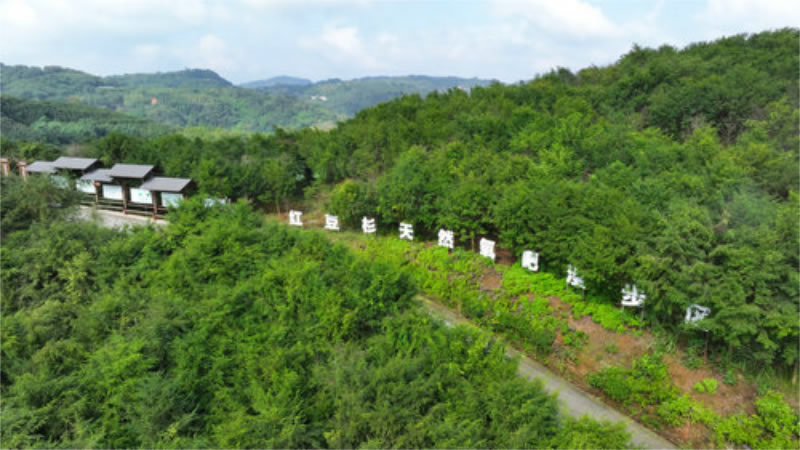 未命名-1.jpg