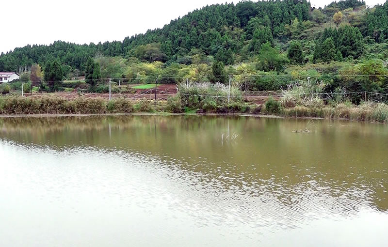 未命名-1.jpg