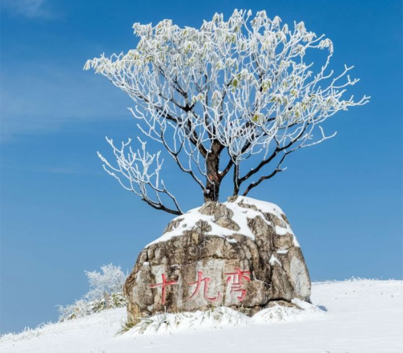 未命名-1.jpg