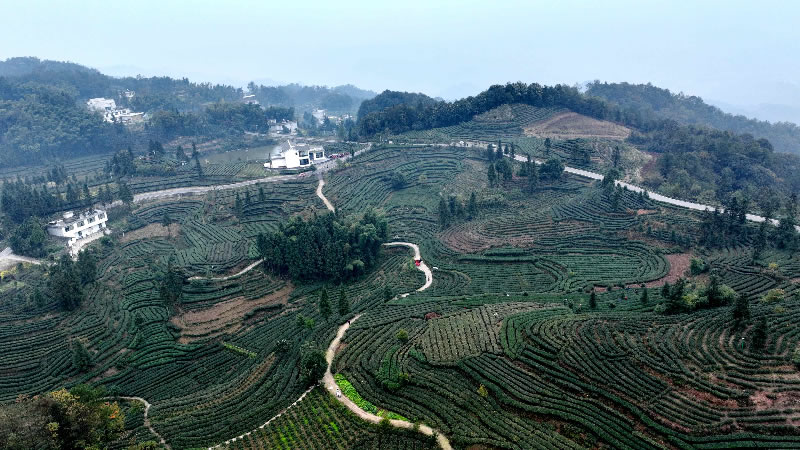 未命名-1.jpg