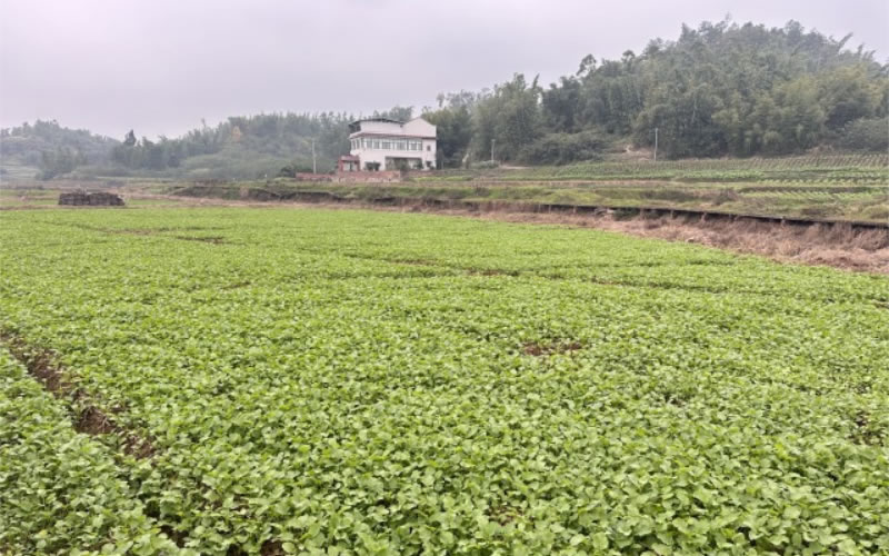 未命名-1.jpg