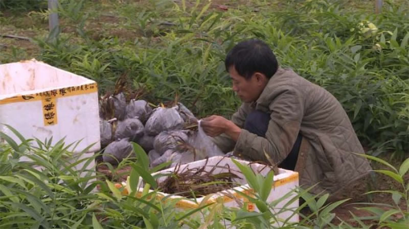 未命名-1.jpg